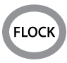flock
