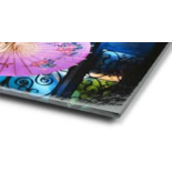 LS Canvas Glossy 380g