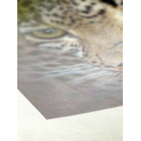 Hahnemühle Bamboo 290g