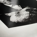 Hahnemühle Photo RAG Baryta 315g