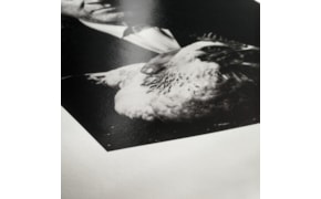 Hahnemühle Photo RAG Baryta 315g